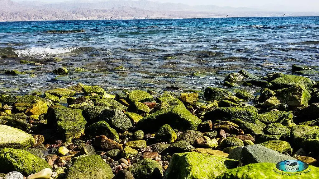 Seamor Guest House Eilat Israel